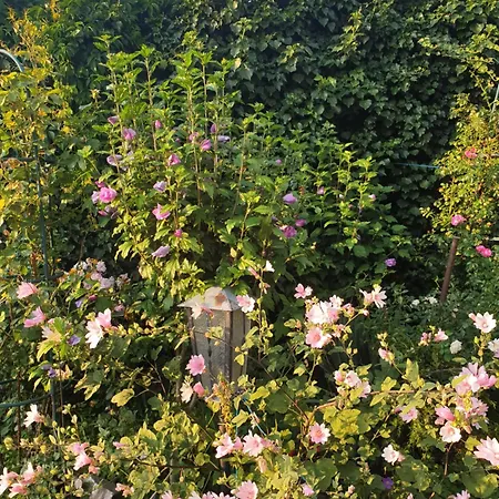 Gartenliebe